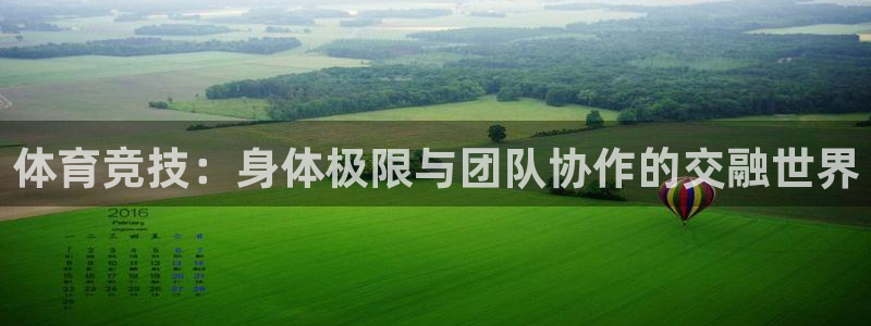 风动体育tv版：体育竞技：身体极限与团队协作的交融世界