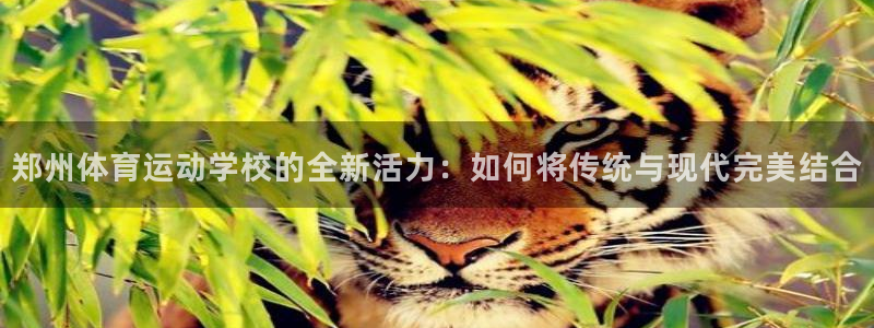 风动体育在线直播