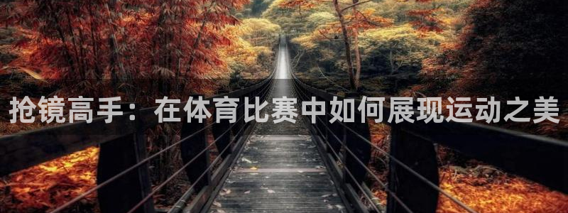 风动体育在线直播