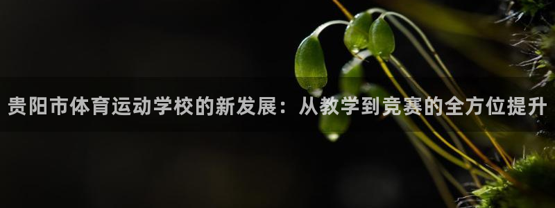 风动体育在线直播：贵阳市体育运动学校的新发展：从教学到竞赛的全方位提升