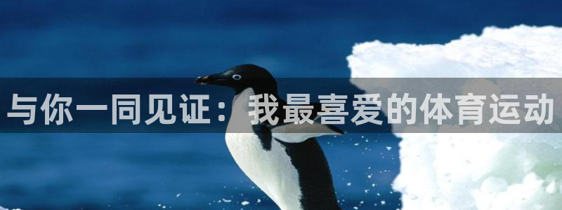 风动体育直播app：与你一同见证：我最喜爱的体育运动